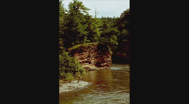 Хамышки - река Белая (Как молоды мы были) смотреть онлайн