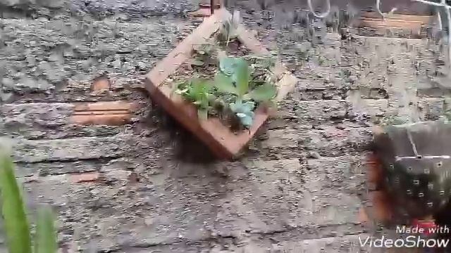 Quadro Verde-Passo-Passo, смотреть онлайн