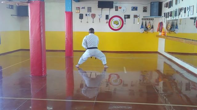 CNV Omar Santiago Paniagua SHIN SHI DO смотреть онлайн