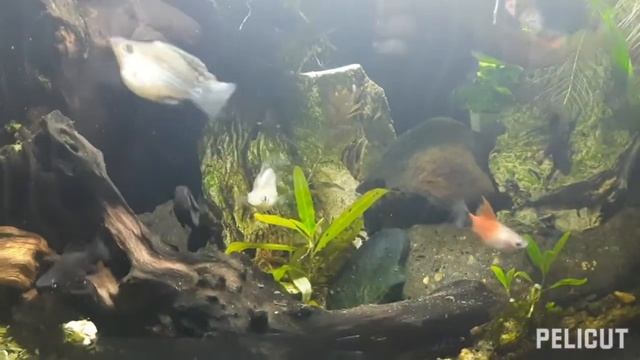 3 февраля 2022 г. смотреть онлайн