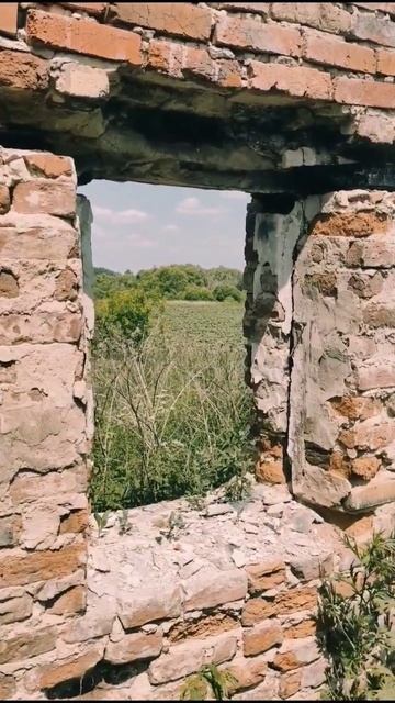 Заброшенная деревня Тамбовской области смотреть онлайн