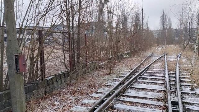 W Ruinach Składu AMW.