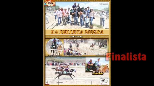 Finalistas Abierto 100 varas: Belleza Negra, Coralillo, Chentito, De Acero, Papaya, Cocodrilo y má смотреть онлайн