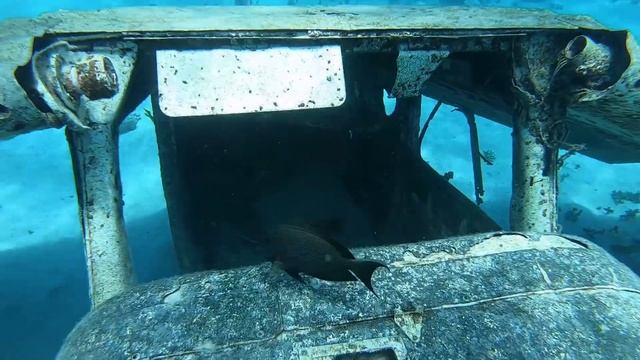Freediving wrecks Tahiti French Polynesia #judystravels #snorkeling #freediving #travels #sailing смотреть онлайн