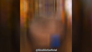 liinaliiis ALINA NIKITINA ALEKSEEVNA