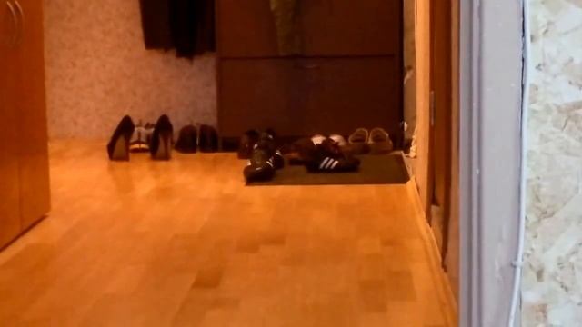 Loki Daring (w/Slow Motion) смотреть онлайн