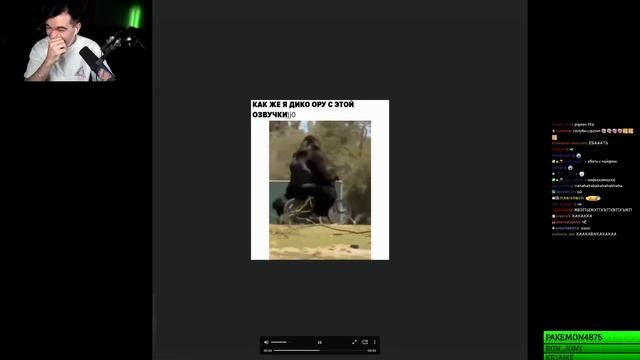 ВИДОСЫ В ТГ (ВЕБМЫ) смотреть онлайн