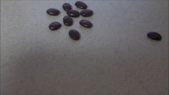 How to grow Locust Trees from Seed смотреть онлайн