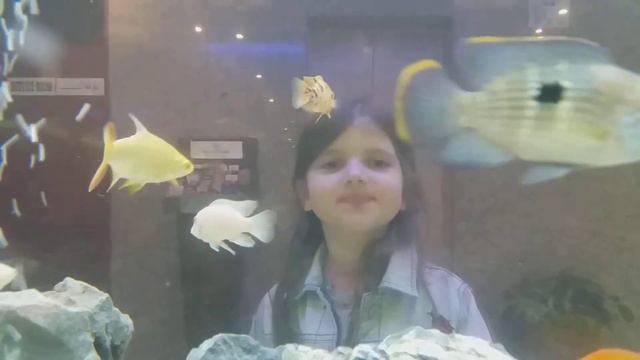 Ребенок в аквариуме смотреть онлайн