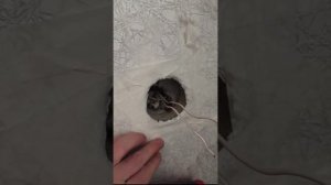 меняю розетку и подрозетник в квартире