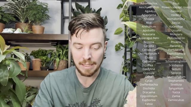 Let's Talk about Plant Toxicity смотреть онлайн