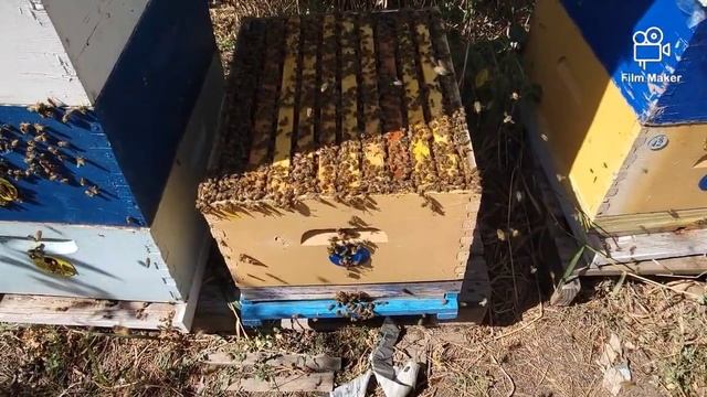 в зиму по Колорадовски , за заставной в многокорпусном. смотреть онлайн