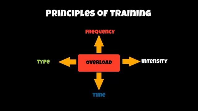 A2 PE Ex Phys Principles of Training смотреть онлайн
