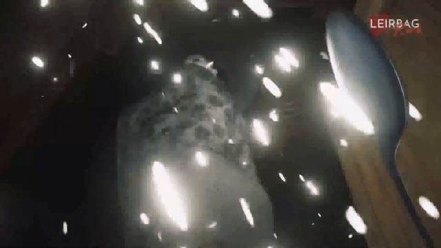 CAÇANDO A LADY DIMITRESCU COM UMA COLHER | BALANÇANDO TUDO смотреть онлайн