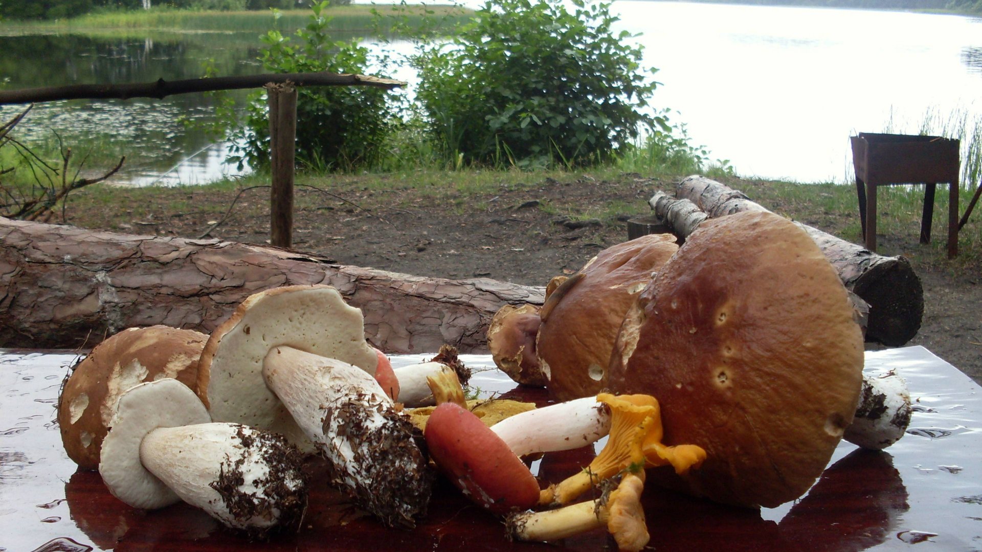 Алла Пугачёва - Этот мир придуман не нами смотреть онлайн