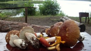 Алла Пугачёва - Этот мир придуман не нами