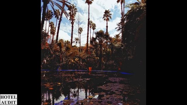 Марокко   Марракеш   Сады Мажорель Jardin Majorelle 1 1 AUDITHOTEL АудитОтель