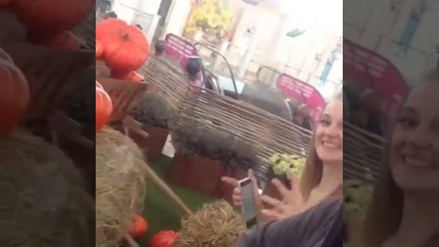 Чёрный пиар собственной фермы) смотреть онлайн