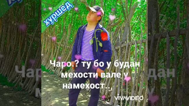 бехтарин видио смотреть онлайн