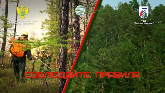 Берегите лес от пожара! смотреть онлайн