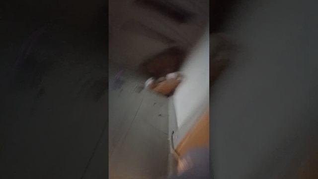 1000009902.mp4 смотреть онлайн