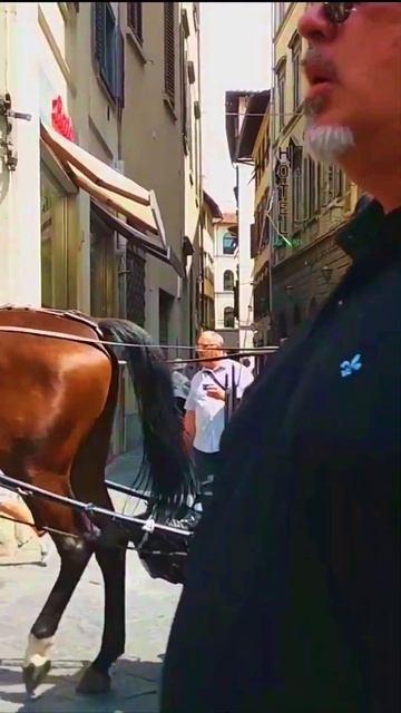 Вот такая она ОЧАРОВАТЕЛЬНАЯ ФЛОРЕНЦИЯ #италия #рекомендации смотреть онлайн