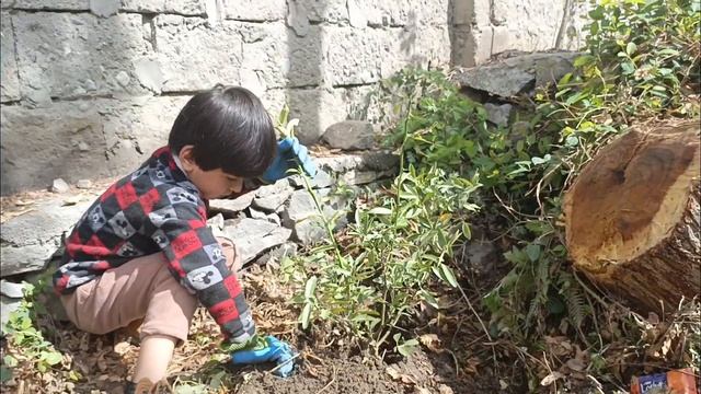 Planting Citrus Trees 🌳🍊 Watch and learn. #youtube #viralvideo #citrus #plantations смотреть онлайн