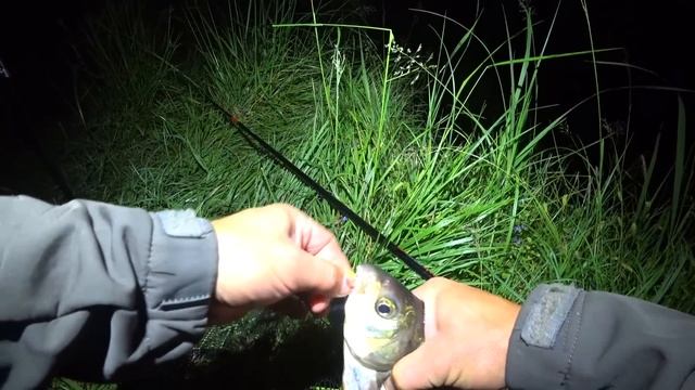 ЗАКИНУВ КОРМАЧКИ БІЛЯ ЯМИ І ПОЧАЛОСЯ. Рибалка на кормачки смотреть онлайн