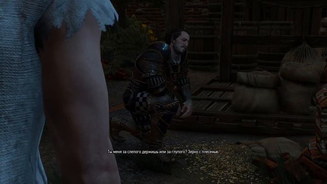 Прохождение Ведьмак 3: Дикая Охота (The Witcher 3: Wild Hunt) #8 КОРОЛЕВСКИЙ ГРИФОН смотреть онлайн