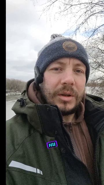 Эти лещи мне вообще покоя не дают. Клюют даже на спиннинг #shorts смотреть онлайн