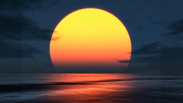 Sam Belenkiy-Остались считанные дни смотреть онлайн