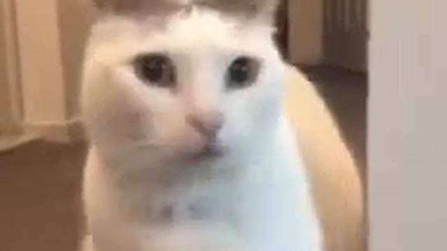 ставьте лайки и колокольчики и подписывайтесь на канал смотреть онлайн