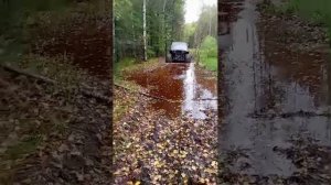 вездеход сибирь