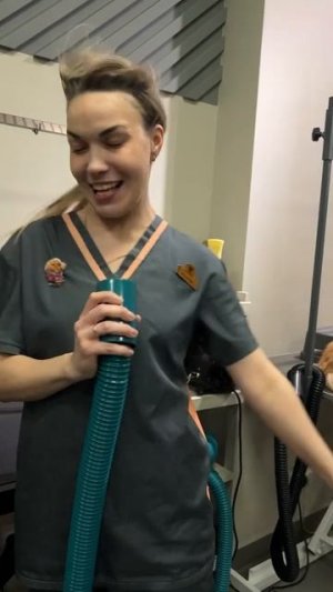 🌿 Юмор который просто есть

https://t.me/Qubitics