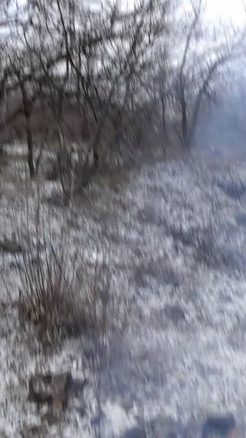 Петарда ПАНТЕРА на 2 Грамма РАЗНОСИТ в Хлам Магнитофон смотреть онлайн