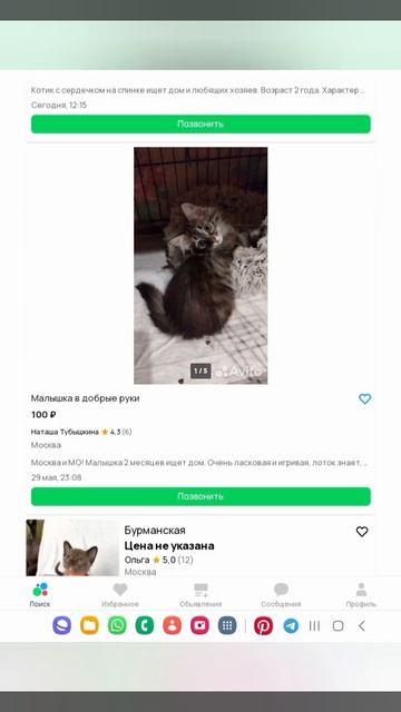 #котики#cat смотреть онлайн