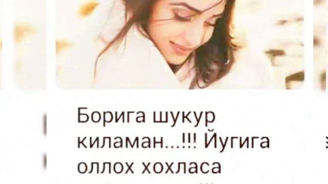 Алишер зокиров хамон хамон