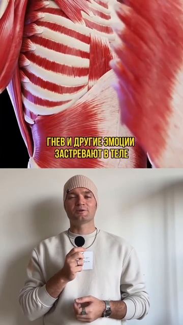 ❗️ Путешествие от древности до наших дней за 1 минуту смотреть онлайн