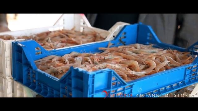 Città di Vittoria per i suoi 410 anni video riassuntivo смотреть онлайн