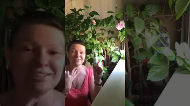 📹 Спрей Цистус Инканус быстрая помощь от боли в горле и защитник имунной системы смотреть онлайн