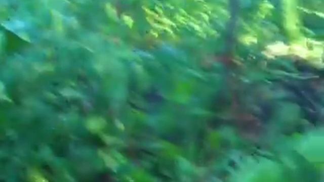 Город в липні смотреть онлайн