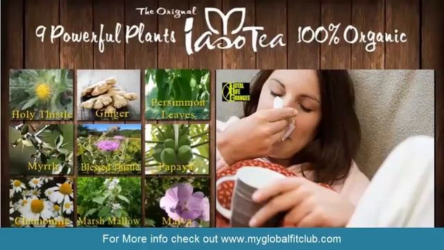 Iaso Tea Presentation смотреть онлайн