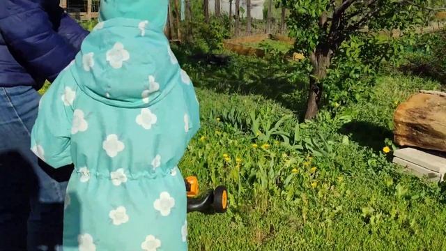 Попробовали косить новым триммером на колёсах с аккумулятором. Наш отзыв. смотреть онлайн