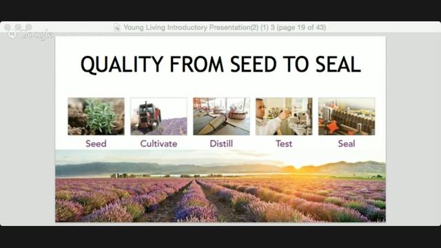 Essential Oils - What's the Big Deal and Why Do our Families Need Them Class смотреть онлайн