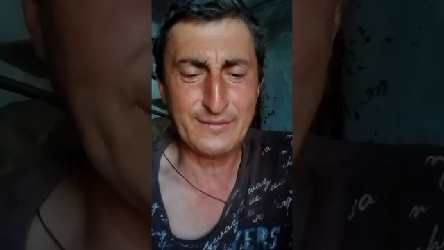 моя пародия на песню сектор Газа.теща смотреть онлайн