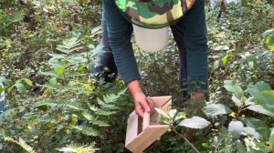 Выбираем комбайн для сбора черники