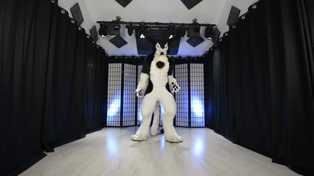 Dance Drills with Rinn - Basic Fixed Point смотреть онлайн