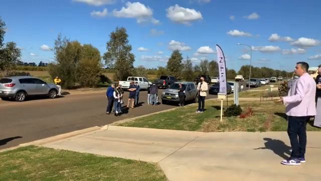 105 Citrus | Auction Day смотреть онлайн