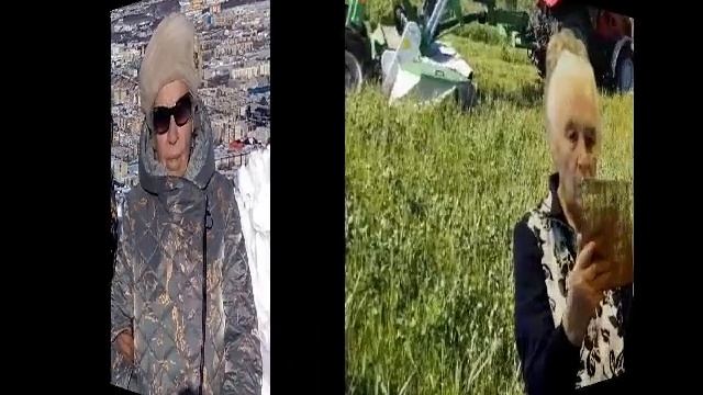 Муз. Лебеди летят Д.Р. 84года смотреть онлайн