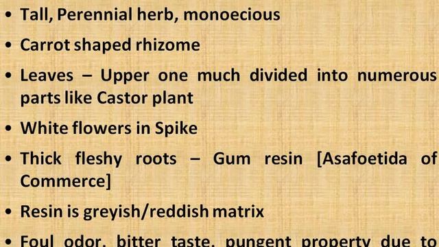 Ferula - 'Hing' - by Dr Vartika Jain смотреть онлайн